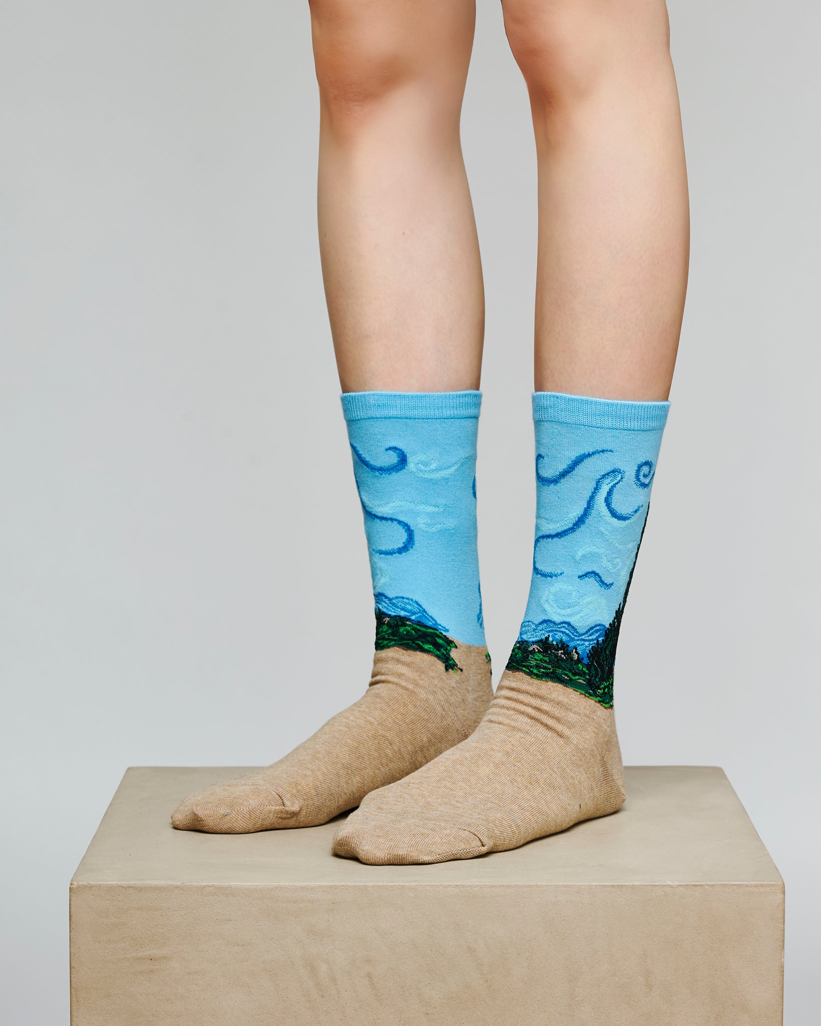 フィンセント・ファン・ゴッホ